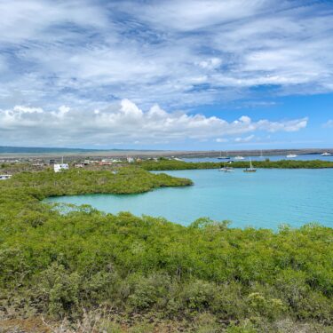 Blu Galapagos