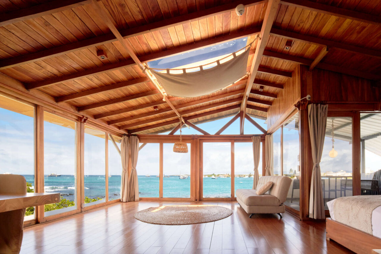 Signature Suite Darwin 3