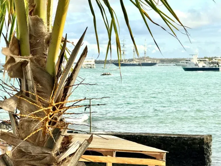 Fernandinablubayview 1