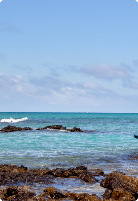 Paradise Responsibility 2